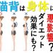 猫背や姿勢がダイエットに関係ある？治し方やチェック方法は？